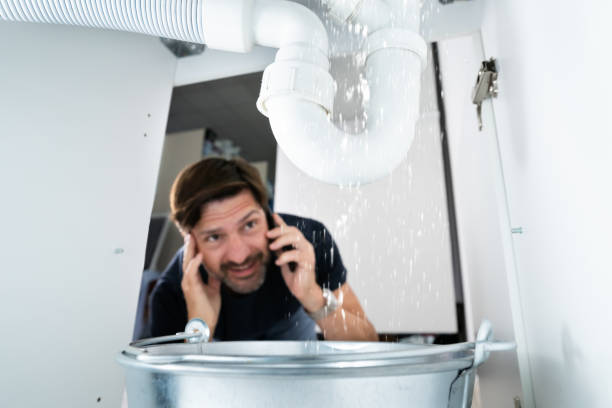 Best Sewer Cleaning Services  in Paonia, CO